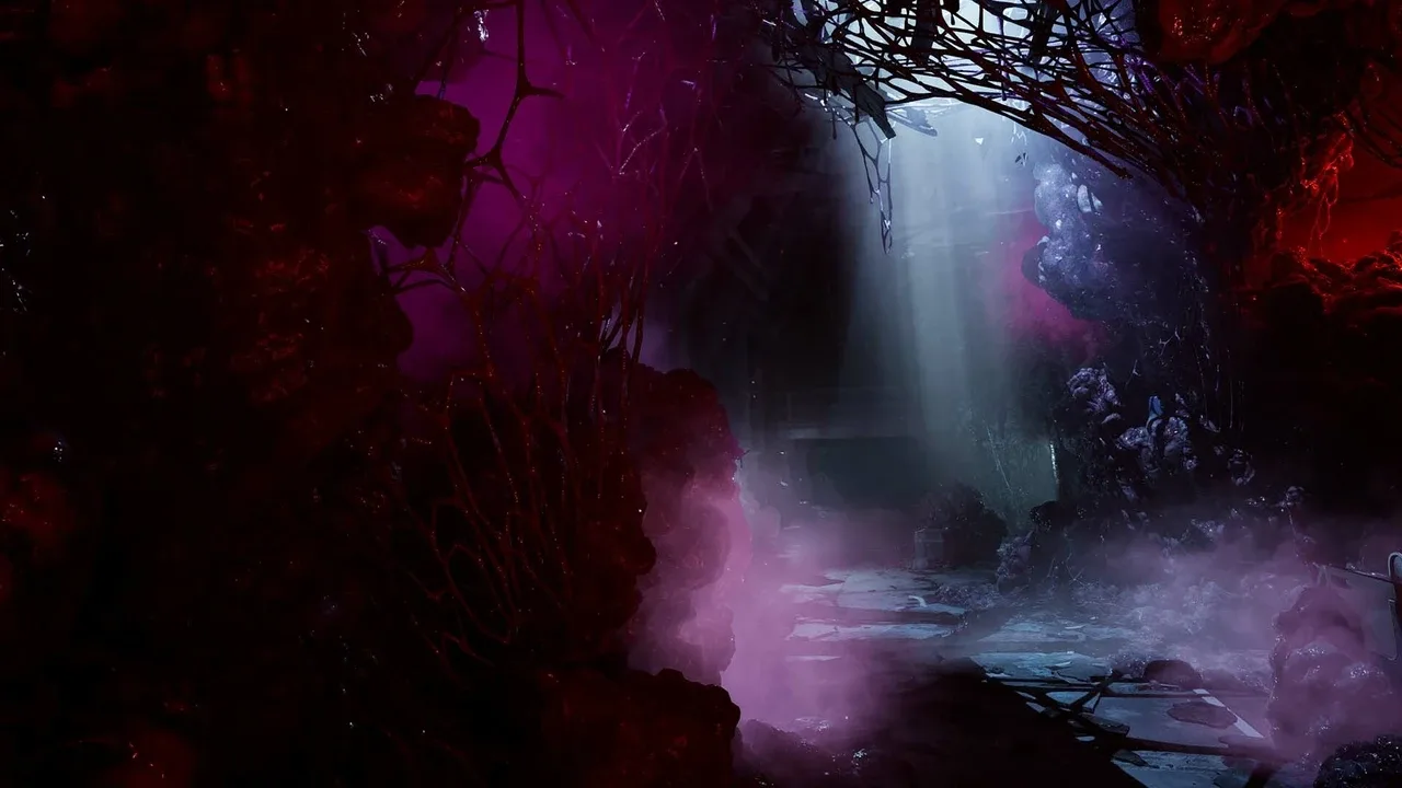 Directive 8020 header image