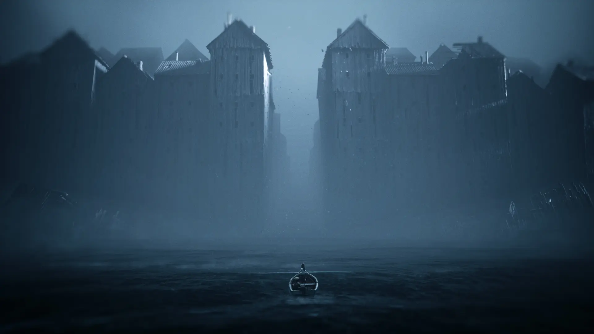 Reanimal header image