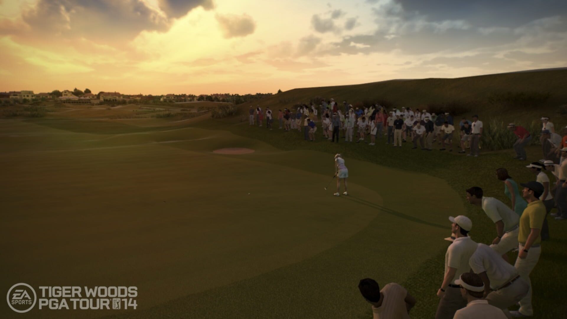 Tiger Woods PGA Tour 14 header image