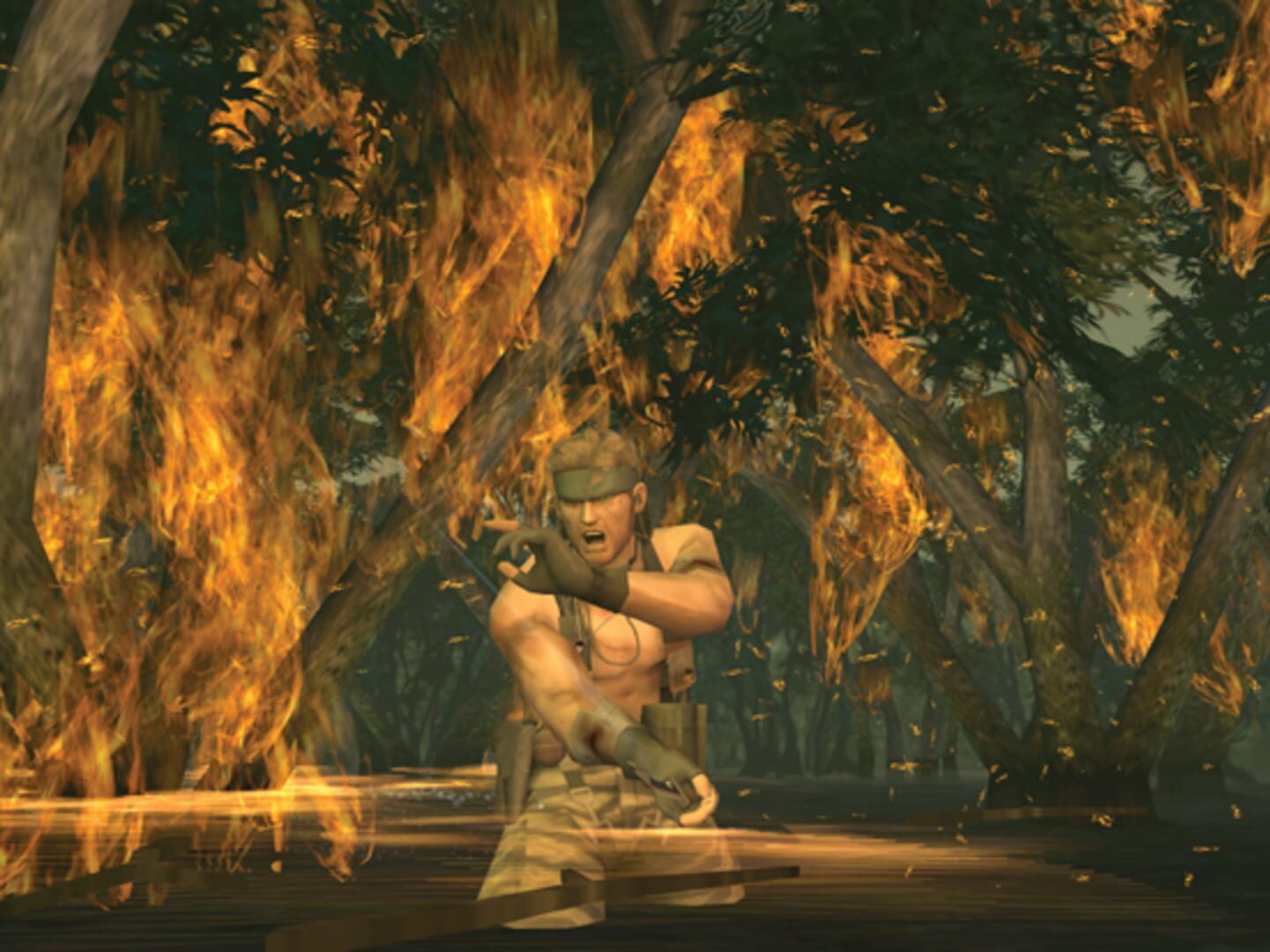 Metal Gear Solid 3: Snake Eater header image