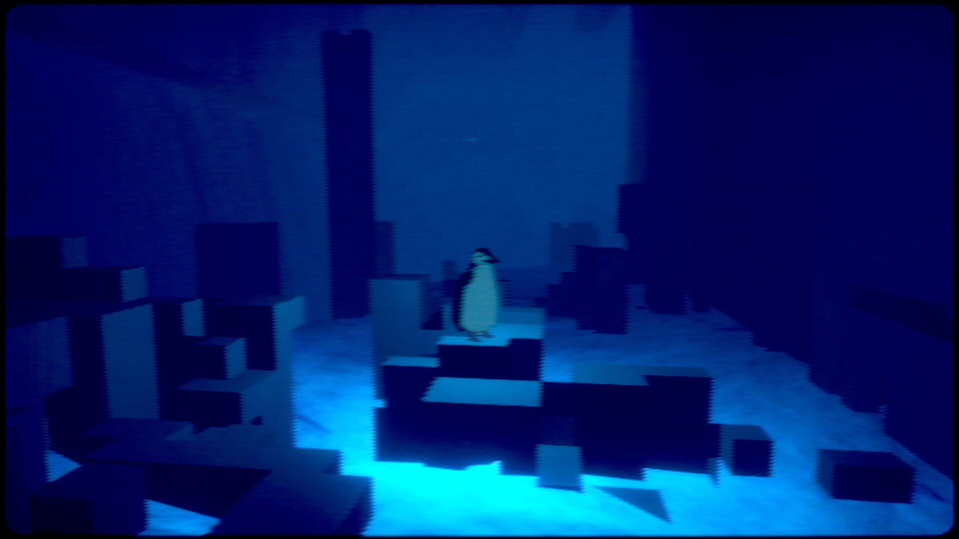 Penguin Colony header image