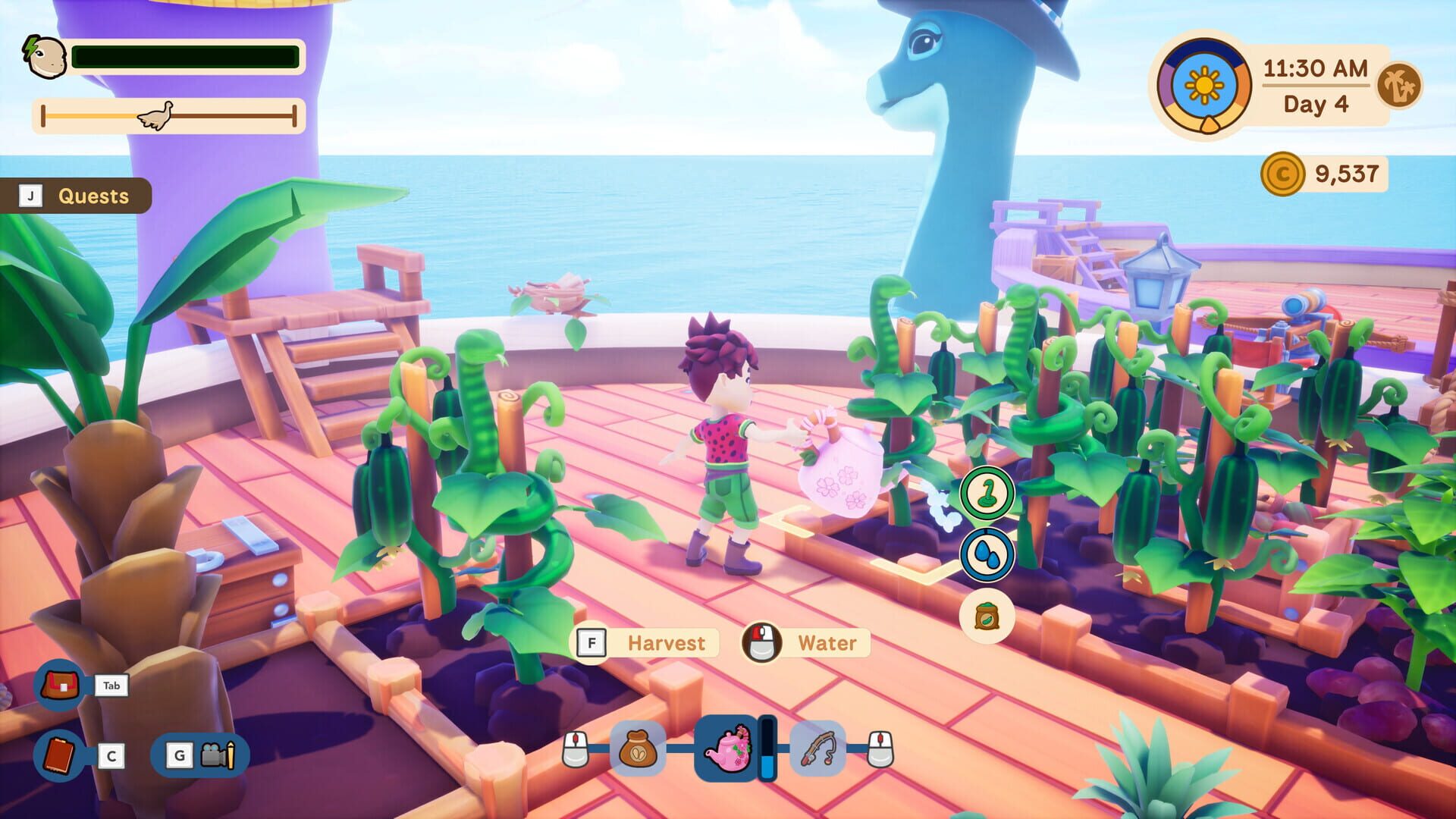 Collector's Cove header image