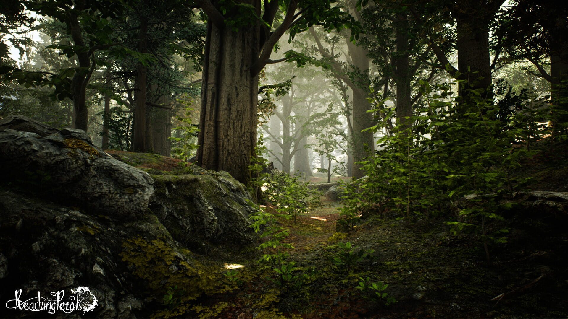 Reaching for Petals header image