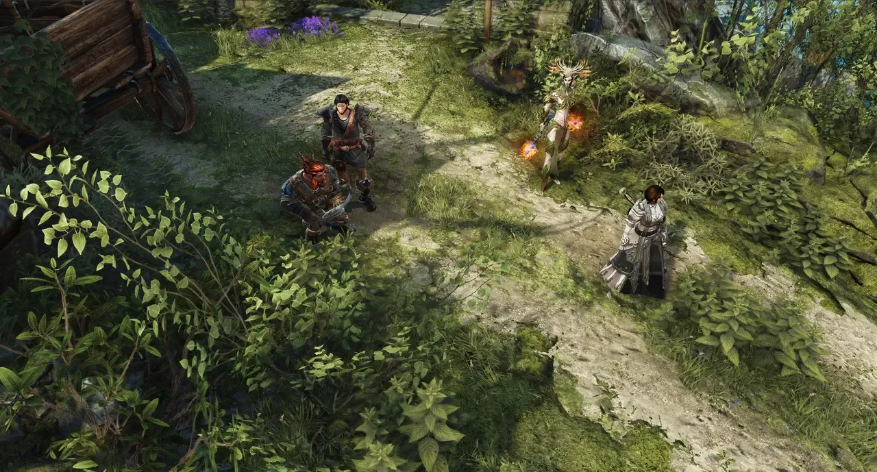 Divinity: Original Sin II artwork