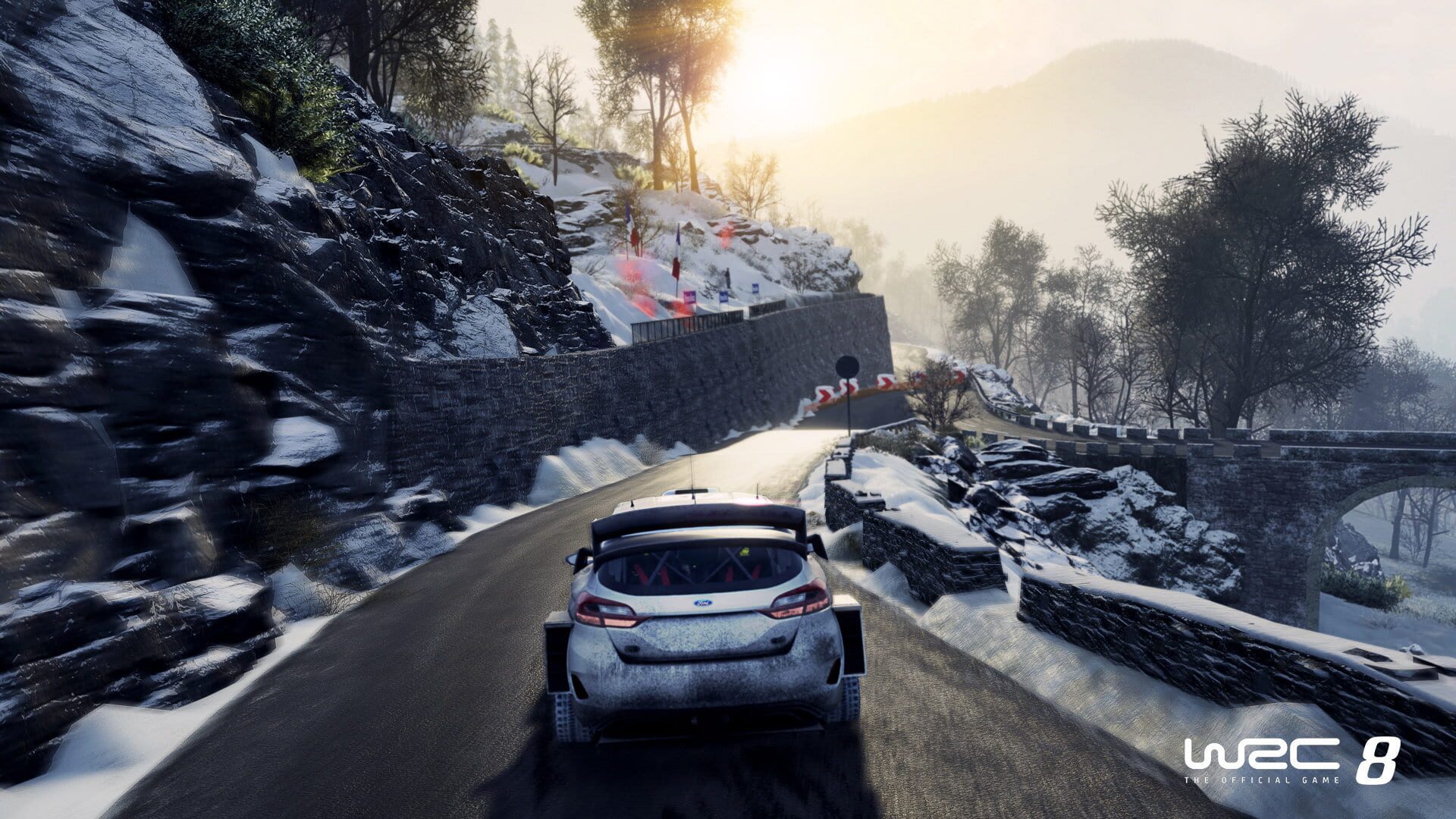 WRC 8 header image