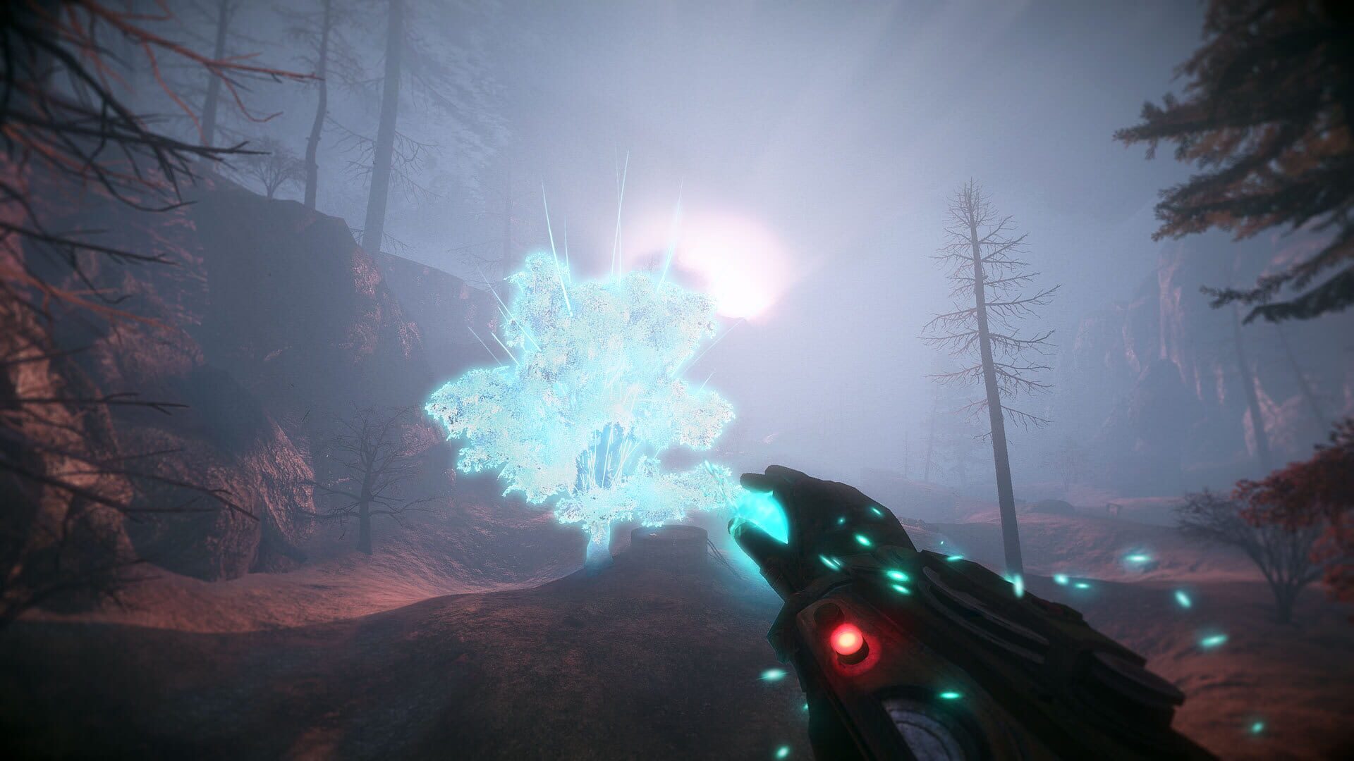 Valley header image