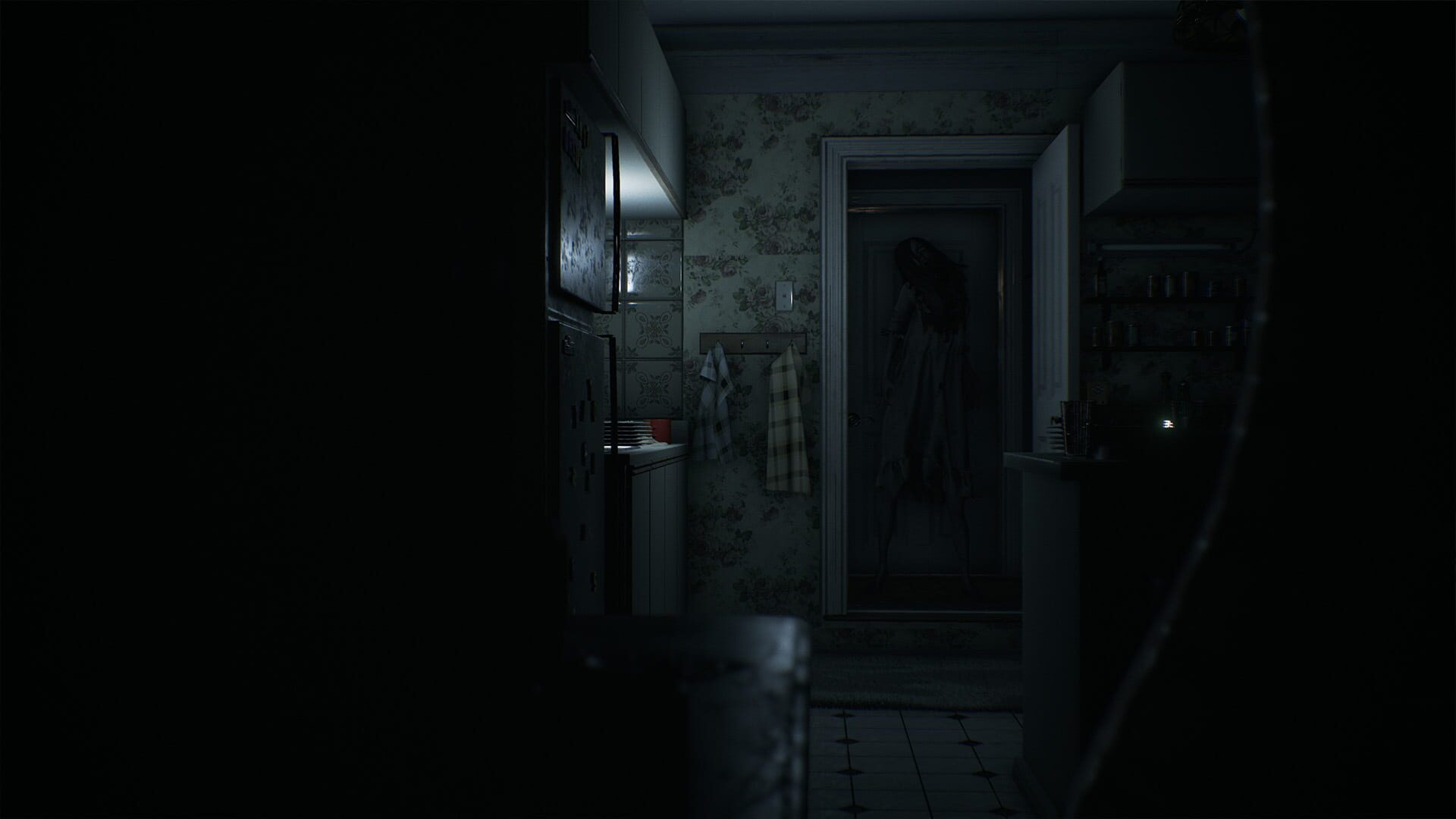 Visage header image